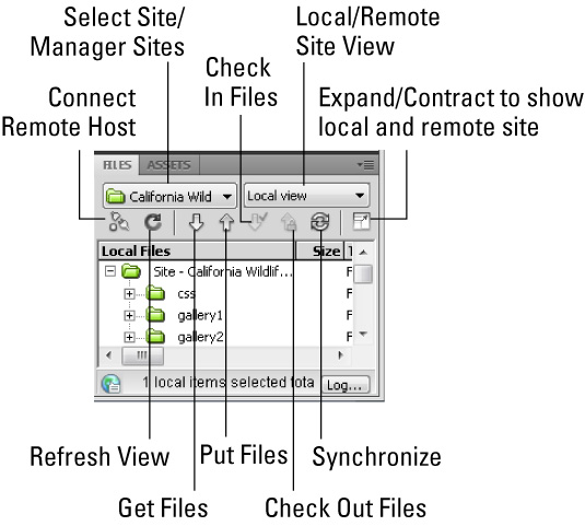 Dream Weaver's File Panel